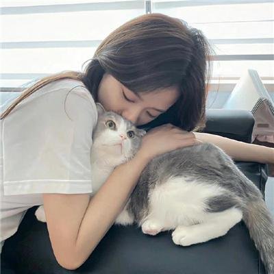 刀不留人 在线观看